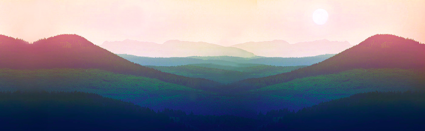 轰炸电话在线下单